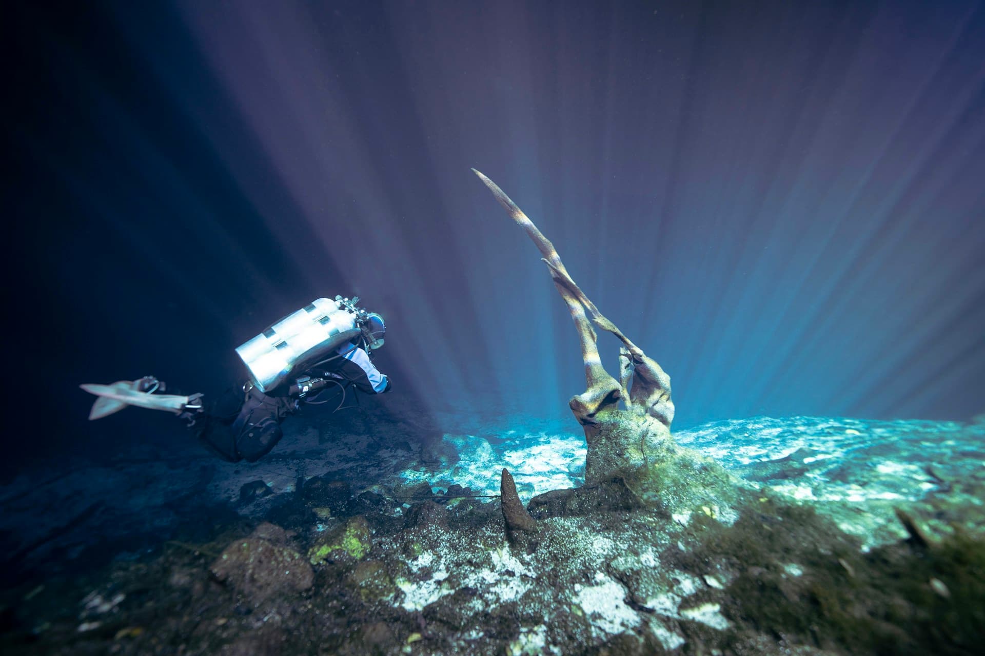 Underwater view of coral, tropical fish, and a snorkeler on the Mesoamerican Reef